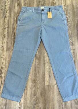 J.Crew Women's Garment-Dyed Cotton Chino Pants Light Blue Size 4